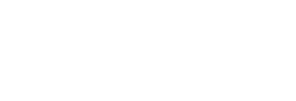 Digitalsilk logo