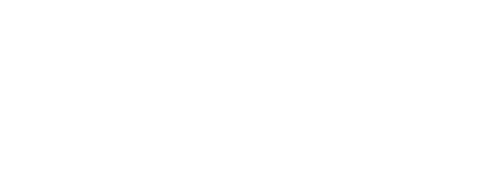 10web logo