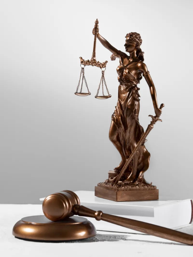 Law and legal industry
