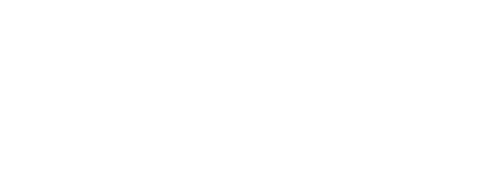 Seltzergoods company logo